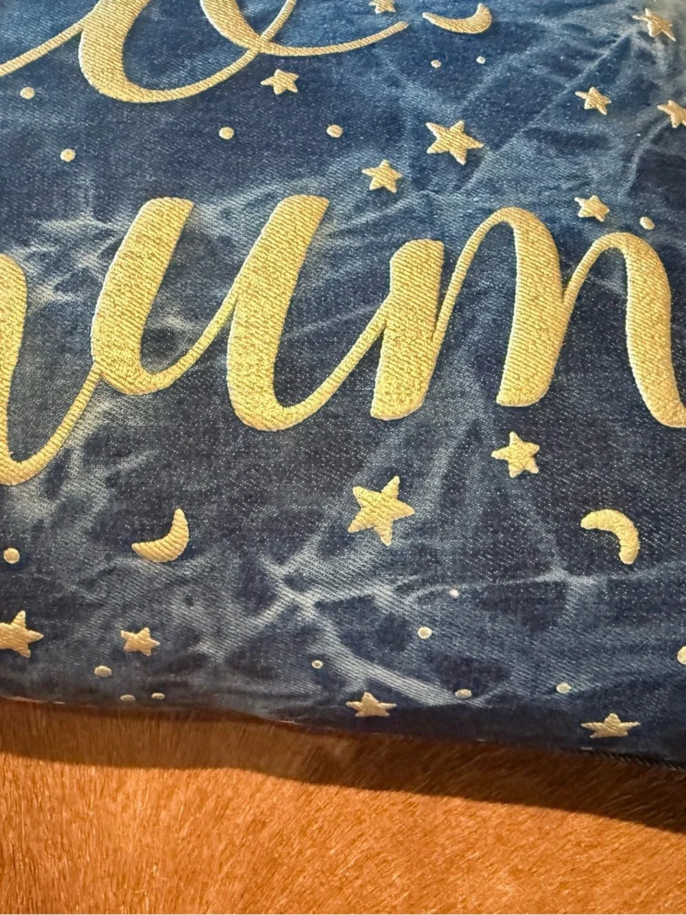 Pottery Barn Teen pb HARRY POTTER™ Expecto Patronum Blue Pillow Hedwig owl